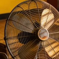 电风扇哪个品牌质量好？电风扇品牌前十名榜单出炉告别踩坑烦恼

 