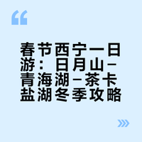 春节西宁一日游：日月山-青海湖-茶卡盐湖