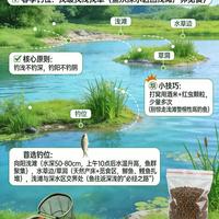 四季钓鱼“黄金钓位”藏宝图，看完直接爆护！