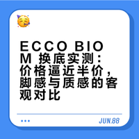 换底后的ecco小经典