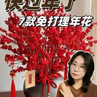 快过年了，别再买鲜花，推荐7款免打理年花 #年花 插画#软装搭配 #居家美学 #装修干货
