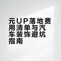 36岁，靠自己买了台元up！汽车装饰篇