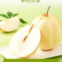 东方甄选・山农酥梨｜应季鲜梨天花板，送礼体面又暖心🍐