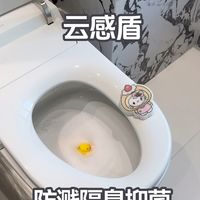 小户型最后选了科勒智能马桶