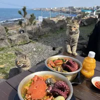 济州岛Noraba拉面🍜偶遇偷吃的小猫咪🐱