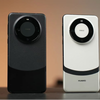 华为Mate60 Pro卫星通话：是“救命刚需”还是“高价噱头”？1200+用户观点大PK