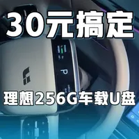 30元搞定理想i6车载U盘（256G车载U盘）