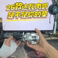 26款达亿瓦肉鸽150HL 是不用是你的菜？ #雷强打黑 #达亿瓦肉鸽 #鼓轮