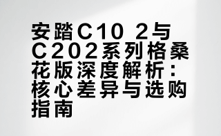 安踏C10 2 没有PRO的版本你们见过吗？一年一度的格桑花系列来了！一条视频带你了解它们的区别！#跑鞋##跑步#跑步 老张的鞋Deron的微博视频