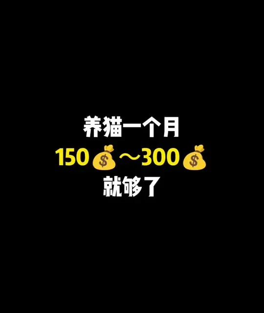 穷养猫照样能把猫养好
#猫粮推荐#猫粮#猫粮测评#新手养猫#萌宠出道计划