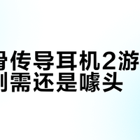 小米骨传导耳机2游泳模式是刚需还是噱头？780+用户观点大PK