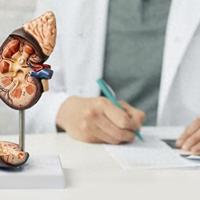 一文详解20种泌尿中成药：针对四种常见问题，教你对症调理不踩坑