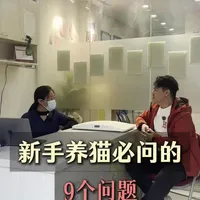 新手养猫一定会问的9个问题，今天一次性说完#宠物 #猫咪 #养猫人 #新手养猫 #科学养宠攻略