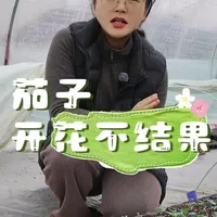 茄子只开花不结果是什么原因？ #茄子 #种植小技巧 #关注我一起学种菜 #自己种的纯天然的绿色蔬菜 #我的小菜园