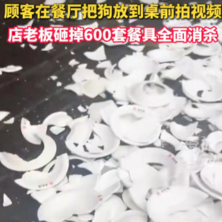 顾客带狗就餐，店主怒砸600套餐具！