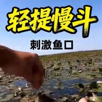 春钓鲫鱼别乱找钓位了！记住这3点，直接从空军变爆护#分享钓鱼乐趣 #创作者中心 #创作灵感