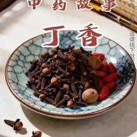 被口臭困扰得不敢与人交流？几元钱的丁香就能帮你解决，从此谈吐如兰，社交再也不尴尬！#传承中医文化 #丁香 #中药本草 #中药 #中医食疗