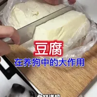 豆腐在养狗中的妙用#宠物知识 #养宠知识 #养狗经验分享 #养宠进阶指南 #宠物科普