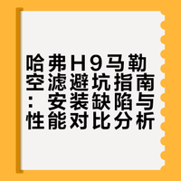 H9车主避坑马勒空滤