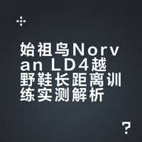 始祖鸟Norvan LD4越野鞋长距离训练实测解析