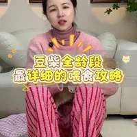 豆柴全龄段最详细的喂食攻略#豆柴#萌宠出道计划 #狗狗#上热门