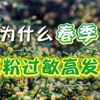 “过敏星人”注意！花粉致敏高发期，医生建议这样做
