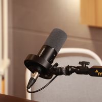 专业录音麦克风品牌怎么选？探析闪克、罗德等七大品牌专业实力