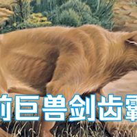 进化给了它们地球上最完美的武器，然后判了它们灭绝！ #科普
