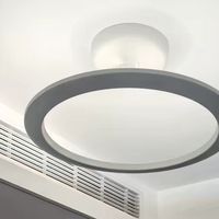 德国柏曼天使环母婴吸顶灯：漫反射柔光