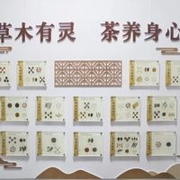 体质改善茶饮：调失衡，强根本