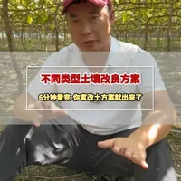 @佳伟农资-农业小红帽 @农业小红帽（生活号） 
不同土壤类型-如何制定一套适合自己土壤情况的改土方案，6分钟视频不能错过；
#葡萄 #葡萄种植技术 #阳光玫瑰 #土壤改良 #土壤