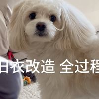 自制狗狗玩具2｜旧衣改造🐶玩具球🎾
