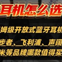 开放式耳机哪个牌子好一点？十款好用高质量开放式耳机品牌推荐