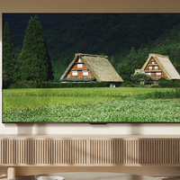 电视品牌 篇零：2026年客厅升级：音质好的电视推荐，让聚会更有氛围感