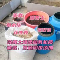 改良土壤准备种瓜，增加土壤有机质，碳源、氮源同步添加