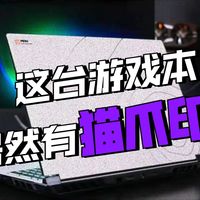 笔记本也能养萌宠？七彩虹MEOW R16 Pro无广测评！