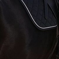 耐磨的马具马护腿哪家好？Horse Leader 性价比高更省心
