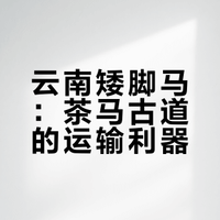 #你在云南见过这种小萌马吗#【#云南矮脚马一米左右高却耐力惊人#】身高仅一米左右的滇马,是茶马古道的“运输利器”!骨骼结实、耐力超强,能轻松适应高海拔缺氧环境,载着货物翻山越岭。如今它们踏碎晨光载游客穿巷,延续着与云南喜洲跨越时光的深厚情缘~#人文名镇# 央视一套的微博视频