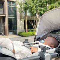 两万元婴儿床值不值？安全认证与全周期使用成本才是关键