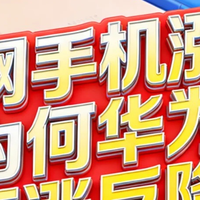 小米前高管建议停止研发手机，王腾：维护老用户，靠互联网赚钱