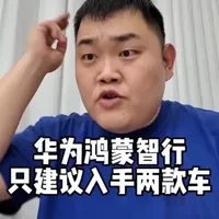 华为鸿蒙智行 看这俩车就可以了 #问界M9 #尊界S800 #二手车 #华为