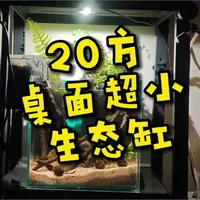 手把手教你做个mini生态缸 挑战用最低成本打造最美鱼缸！
我的作品完成了，你的呢？
评论区晒出你的鱼缸造景，让我们一起交流学习！#鱼缸 #原生缸 #微景观 #diy #治愈系