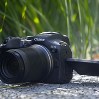 佳能R7是APS-C远摄之王还是高感短板？2000+用户观点大碰撞