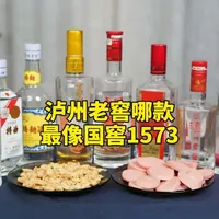 泸州老窖系列酒哪款酒的口感最像国窖1573#白酒 #口粮酒推荐 #国窖1573 #白酒 #纯粮食酒