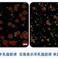 2026水解奶粉有哪些品牌？敏宝喂养的科学新选择来了