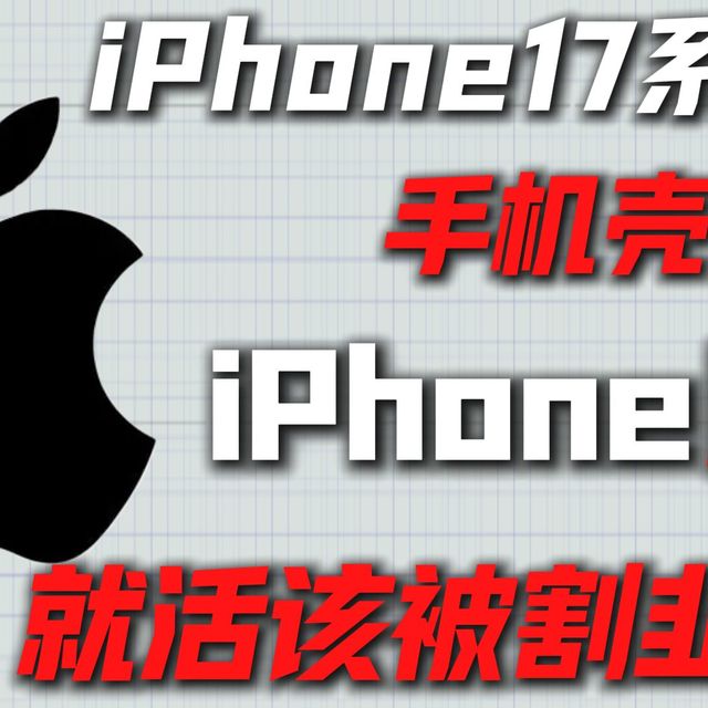 苹果用户就活该被当韭菜割？iPhone17Promax手机壳怎么选？看这期视频就够了！