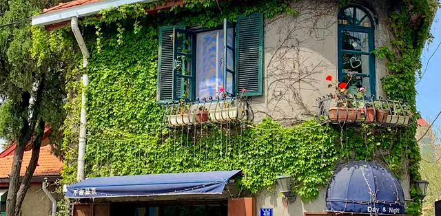 外出旅行住酒店还是民宿？2026 年深度对比，看完不再纠结_国内住宿_什么值得买