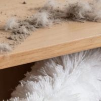 懒人清洁组合，轻松搞定大扫除