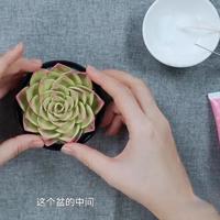#纸艺衍纸 #多肉#手工diy #教程 #我的日常点滴