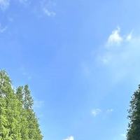 2026狗眼角有泪痕怎么去除品牌推荐 实测适配多犬种 解决顽固泪痕